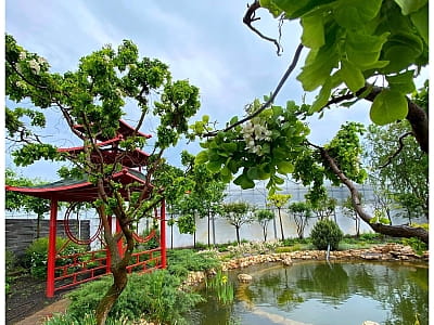 Посетите цветочный парк «Камелия» в Крюковщине — 10 садов мира, фотолокации, кафе, развлечения и невероятные цветочные инсталляции под Киевом.