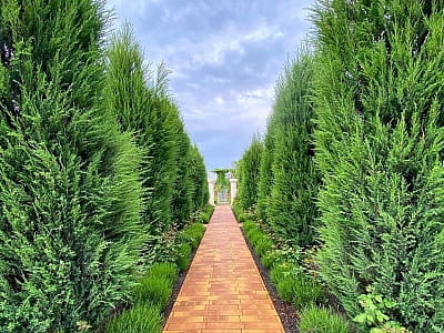 Цветочный сад «Камелия» — путешествие по садам мира под Киевом