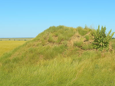 Скифский курган Чертомлык — царское захоронение IV в. до н.э. возле Никополя. Известен раскопками И. Забелина и находкой знаменитой амфоры.