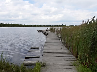 Озеро Охотин, известное также как Хотин, — живописный водоем на Волыни, расположенный на окраине села Любче Ковельского района.