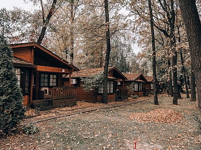 «Selena Family Resort» – это современный загородный гостинично-ресторанный комплекс, расположенный в живописном уголке на берегу Днепра среди соснового леса недалеко от Черкасс. 