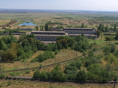 Толстая Могила — скифский курган и золотая пектораль из Покрова