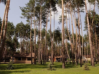 Загородный комплекс «Тихий Лес» — парк-отель на берегу Днепра среди соснового леса. Отдых, бассейн, ресторан, домики, активности и мероприятия на природе.