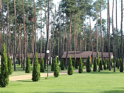 Загородный комплекс «Тихий Лес» — парк-отель на берегу Днепра среди соснового леса. Отдых, бассейн, ресторан, домики, активности и мероприятия на природе.