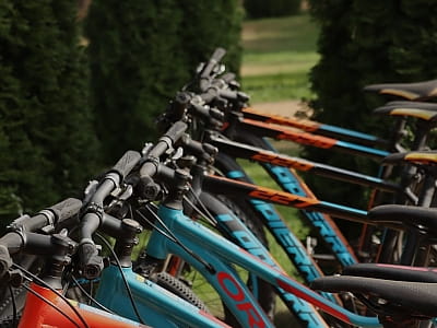 велосипеды в загородном комплексе «Тихий Лес» на берегу Днепра