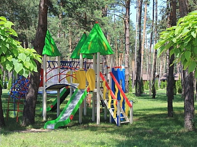 Детская площадка в загородном комплексе «Тихий Лес» на берегу Днепра
