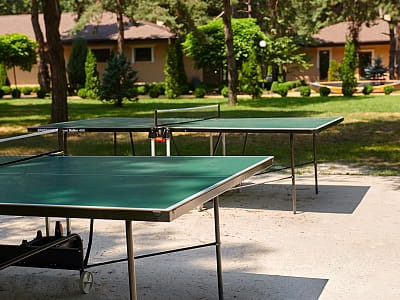 Настольный теннис в загородном комплексе «Тихий Лес» на берегу Днепра