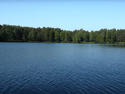 Загадочное озеро Заболоцкое на Волыни, известное как Воловое Око. Глубокий чистый водоем возможно вулканического происхождения, овеянный легендами и природной красотой.