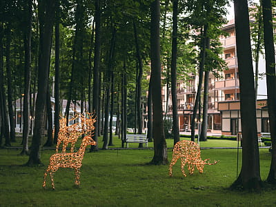 Загородный комплекс «Застава» — место для комфортного отдыха на природе: отель, ресторан, баня, развлечения, летний бассейн и мероприятия в живописной локации.