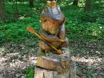 Сказочный лес в загородном комплексе ZASTAVA (Застава) возле Умани