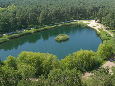 Озеро Голубое в парке Партизанской славы — живописный водоем Киева для спокойного отдыха, рыбалки и прогулок среди соснового леса.