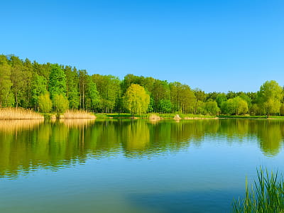 Краснохуторские озера в парке «Партизанская слава» — живописная зона отдыха с тремя водоемами, пляжами, рыбалкой и прогулочными тропами.