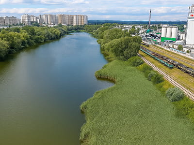 Озеро Луговое — живописный водоем системы Опечень в Киеве. Идеальное место для рыбалки, прогулок и спокойного отдыха на природе.
