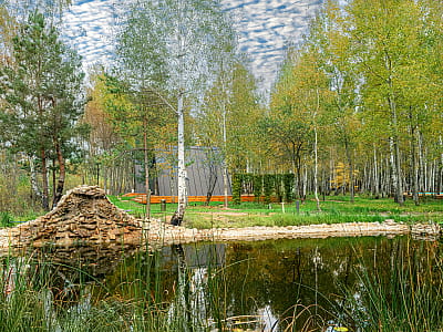 Загородный комплекс Mandra Petrichor - это изысканный глэмпинг в селе Забуяння, Киевская область, Макаровский район.