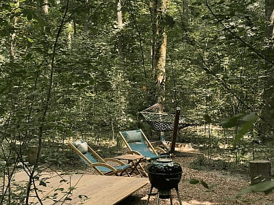 NAMETY PARK — глемпінг серед лісу на ВДНГ у Києві для особливого відпочинку