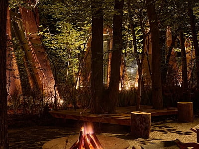 NAMETY PARK — глемпінг серед лісу на ВДНГ у Києві для особливого відпочинку