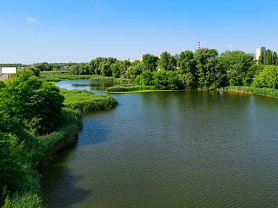 Озеро Нижний Тельбин в Дарницком районе Киева — искусственный водоем с интересной историей, живописными пейзажами и возможностью рыбалки и отдыха.