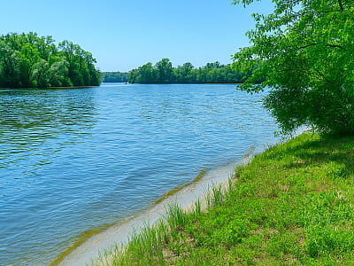 Озеро Русановское — это живописный водоем в Днепровском районе Киева, среди зеленых Русановских садов. 