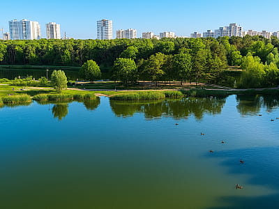 Озеро Рыбальское в парке Партизанской славы — тихое место для рыбалки, прогулок и отдыха среди соснового леса на левом берегу Днепра.