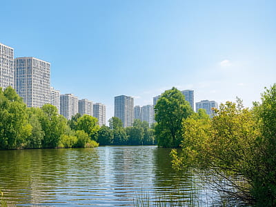 Озеро Синятин в Дарницком районе Киева — бывший днепровский залив с живописными берегами, естественной растительностью и возможностями для спокойного отдыха.