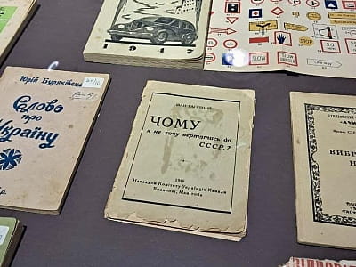 Музей украинской диаспоры в Киеве рассказывает об истории эмиграции, выдающихся украинцах мира и их художественном наследии. Уникальная экспозиция и коллекция.