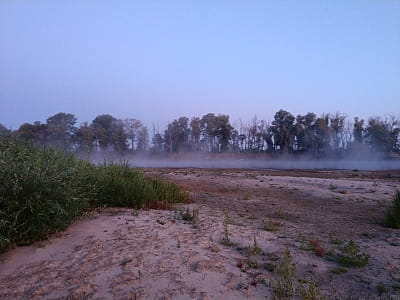 Река Десна — крупнейший левый приток Днепра с чистыми водами, пойменными лесами и древней историей. Отдых, рыбалка, путешествия.