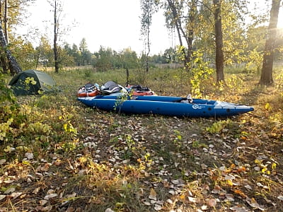 Река Десна — крупнейший левый приток Днепра с чистыми водами, пойменными лесами и древней историей. Отдых, рыбалка, путешествия.