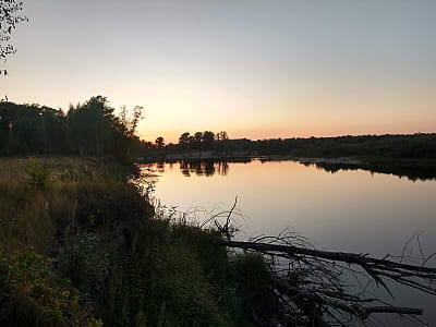 Река Десна — крупнейший левый приток Днепра с чистыми водами, пойменными лесами и древней историей. Отдых, рыбалка, путешествия.