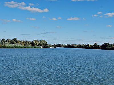 Дунай — большая европейская река, протекающая и через Украину. Узнайте о ее характере, природе, возможностях отдыха, достопримечательностях и о том, как добраться до лучших локаций.