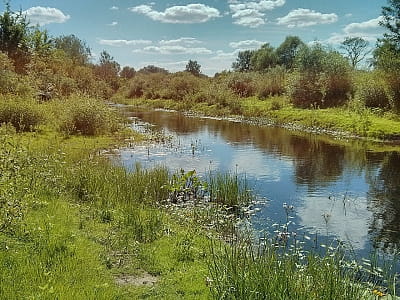 Река Хорол в Полтавской области: истоки, течение, природа, история, рыбалка, отдых и живописные места на берегах.