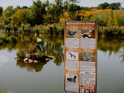 озеро в загородном комплексе Хутор «Казацкая Долина» в селе Карбовка Кировоградской области