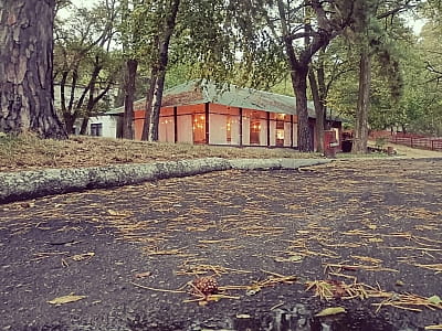 Парк-отель «Волна» — это загородный комплекс отдыха, расположенный в сосновом лесу на берегу реки Днепр вблизи Светловодска.