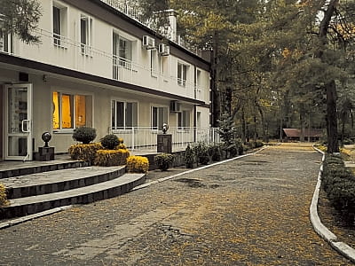 Парк-отель «Волна» — это загородный комплекс отдыха, расположенный в сосновом лесу на берегу реки Днепр вблизи Светловодска.