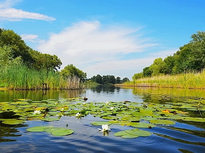 Узнайте о реке Орель в Украине: истоки, течение, природа, история, отдых, рыбалка, смотровые локации и как добраться до берегов для фото и рекреации.