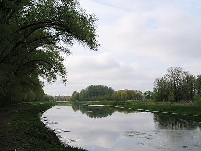 Река Остер в Украине: истоки, история, природа, отдых и маршруты