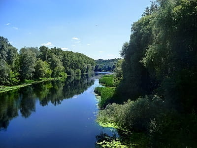 Река Псел — живописная водная артерия Сумщины и Полтавщины с богатой историей, спокойным течением, природными пляжами и местами для отдыха.