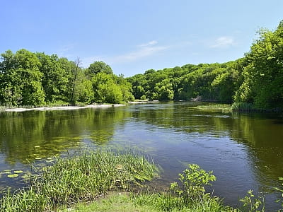 Река Рось — правый приток Днепра с богатой историей, живописными берегами и возможностями для отдыха, рыбалки и путешествий.