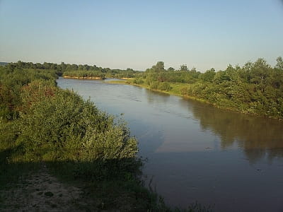 Река Серет в Черновицкой области — дунайский приток с живописными берегами, богатой природой, историей Буковины и местами для отдыха.