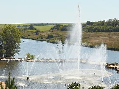Парк Отель «Скифия» — это загородный гостеприимный комплекс в Кировоградской области, расположенный в природном ландшафте у озера Ташлык, вдали от шумных трасс.