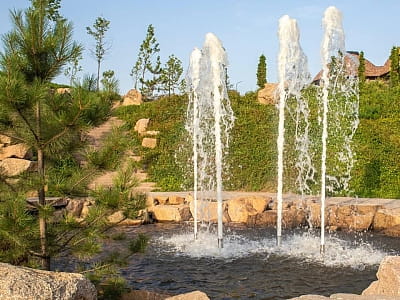 Парк Отель «Скифия» — это загородный гостеприимный комплекс в Кировоградской области, расположенный в природном ландшафте у озера Ташлык, вдали от шумных трасс.