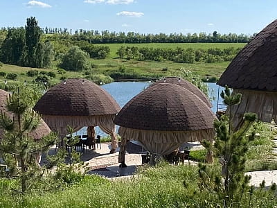 Парк Отель «Скифия» — это загородный гостеприимный комплекс в Кировоградской области, расположенный в природном ландшафте у озера Ташлык, вдали от шумных трасс.