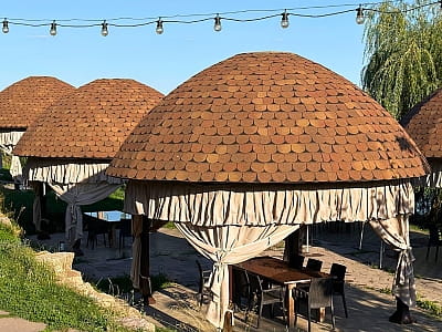 Парк Отель «Скифия» — это загородный гостеприимный комплекс в Кировоградской области, расположенный в природном ландшафте у озера Ташлык, вдали от шумных трасс.