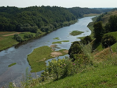 Река Случ — живописный приток Горыни с порогами, скалами и историческими городами. Описание природы, отдыха и интересных мест.