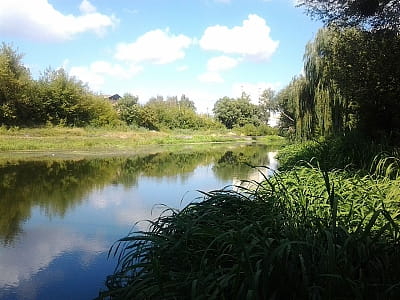 Река Стыр — 483 км природы, вод, истории и отдыха. Узнайте о ее истоках, течении, флоре и фауне, экологии и живописных уголках.