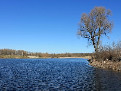 Река Удай в Украине: истоки, течение, природа, история, рыбалка, интересные места и лучшие локации для отдыха и фото.