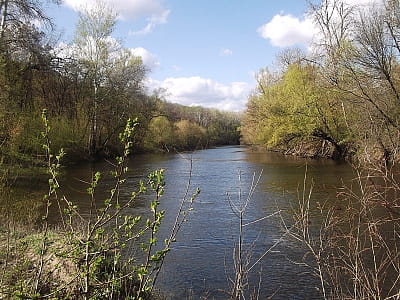 Река Ворскла в Украине: истоки, течение, история, природа, рыбалка, пляжи, интересные места и маршруты вдоль живописных берегов.