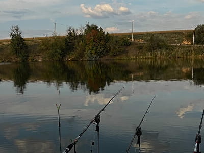 рыбалка в загородном комплексе Balka Eco Club в живописном уголке Полтавской области, среди природы, тишины и водной глади