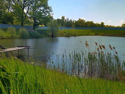 озеро для рыбалки в загородном комплексе Bulanovo в селе Буланово Полтавской области