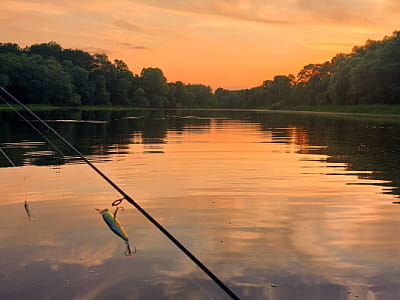 рыбалка в загородном комплексе «Крещатик» в Черкасской области на берегу реки Рось в месте ее впадения в Днепр