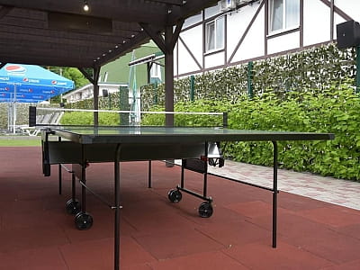 настольный теннис в загородном комплексе «Лубенская Слобода» в живописном уголке Полтавщины, всего в двух километрах от исторического города Лубны